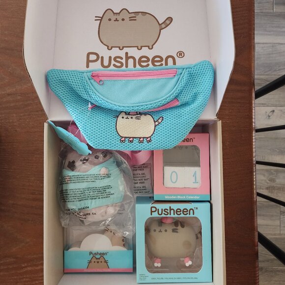 Pusheen Box Spring 2019 - Includes 6 out of 9 items BNWT, sealed, unopened - Picture 1 of 13